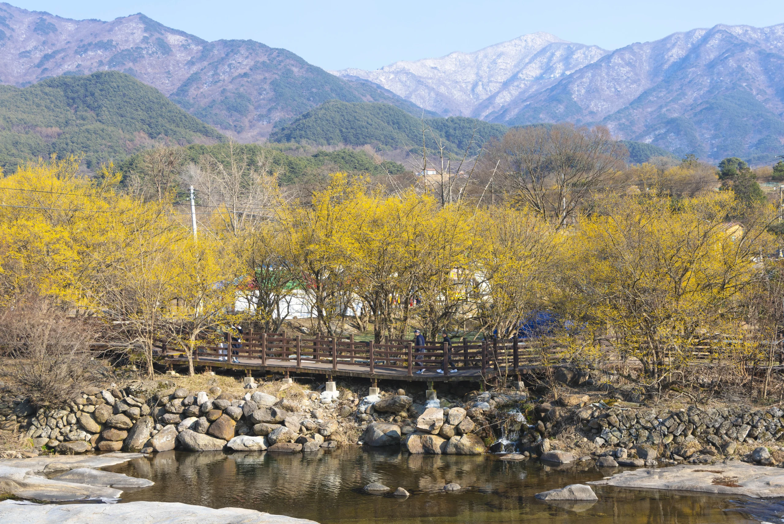 산수유 사랑공원 조형물
