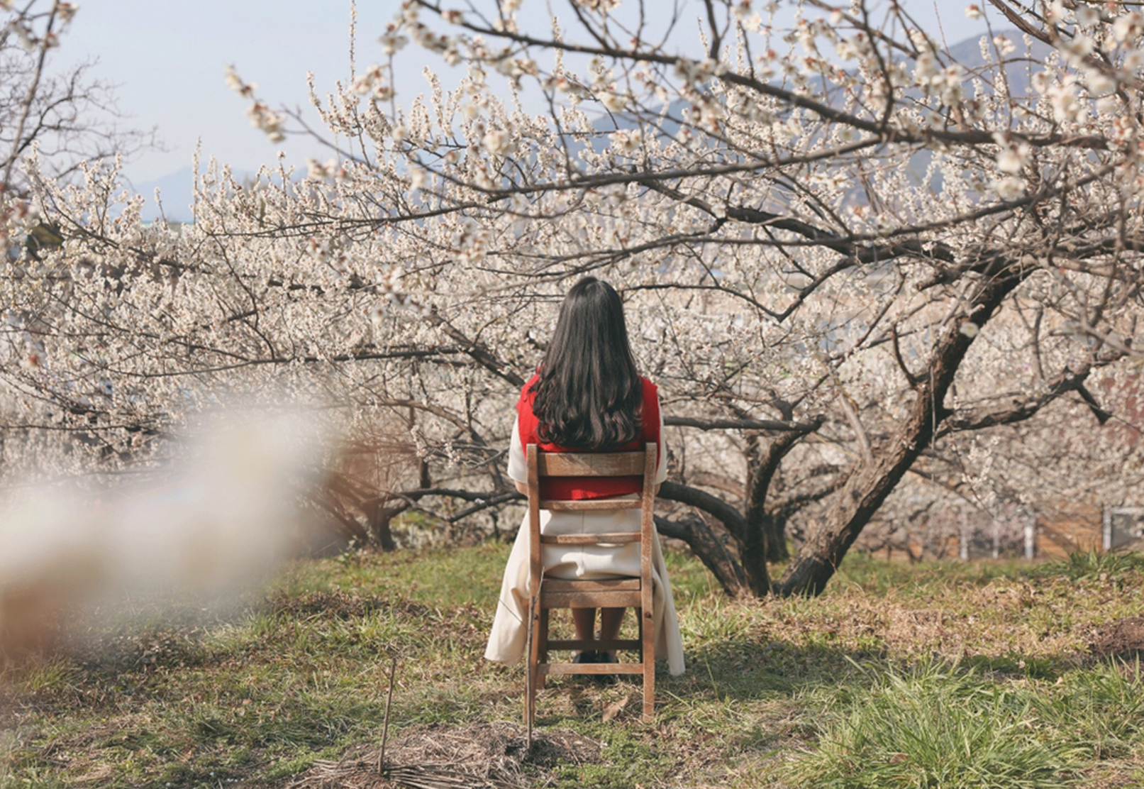 광양 매화축제의 아름다운 야경