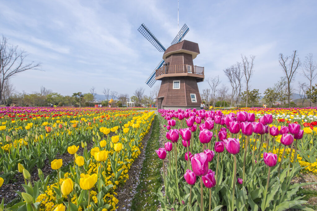 순천만국가정원 세계정원 미국정원