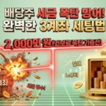 배당주 세금 폭탄 방어 전략