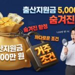 출산지원금 조건 대표이미지